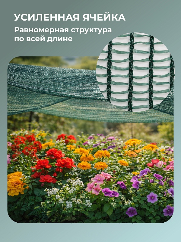 /upload/resize_cache/iblock/d53/800_800_0/8jyiub9682sefm2ymht324irbkdp0mv5.jpg